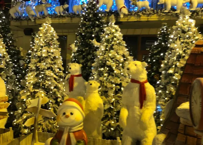 Apartaida Centru * Craiova